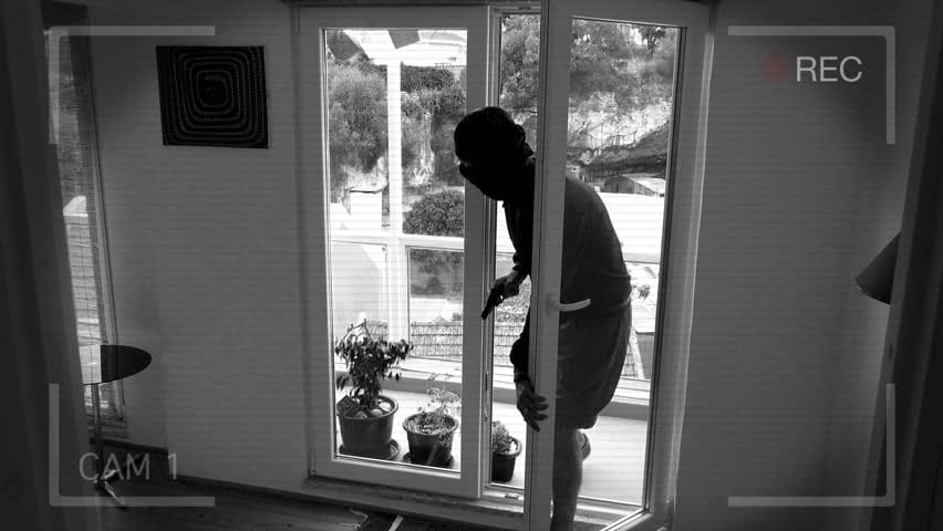 Prevent Theft - Praetector Thief caught on security cameras