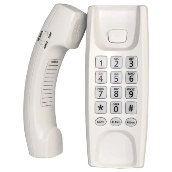 untraditional security devices - the telespy